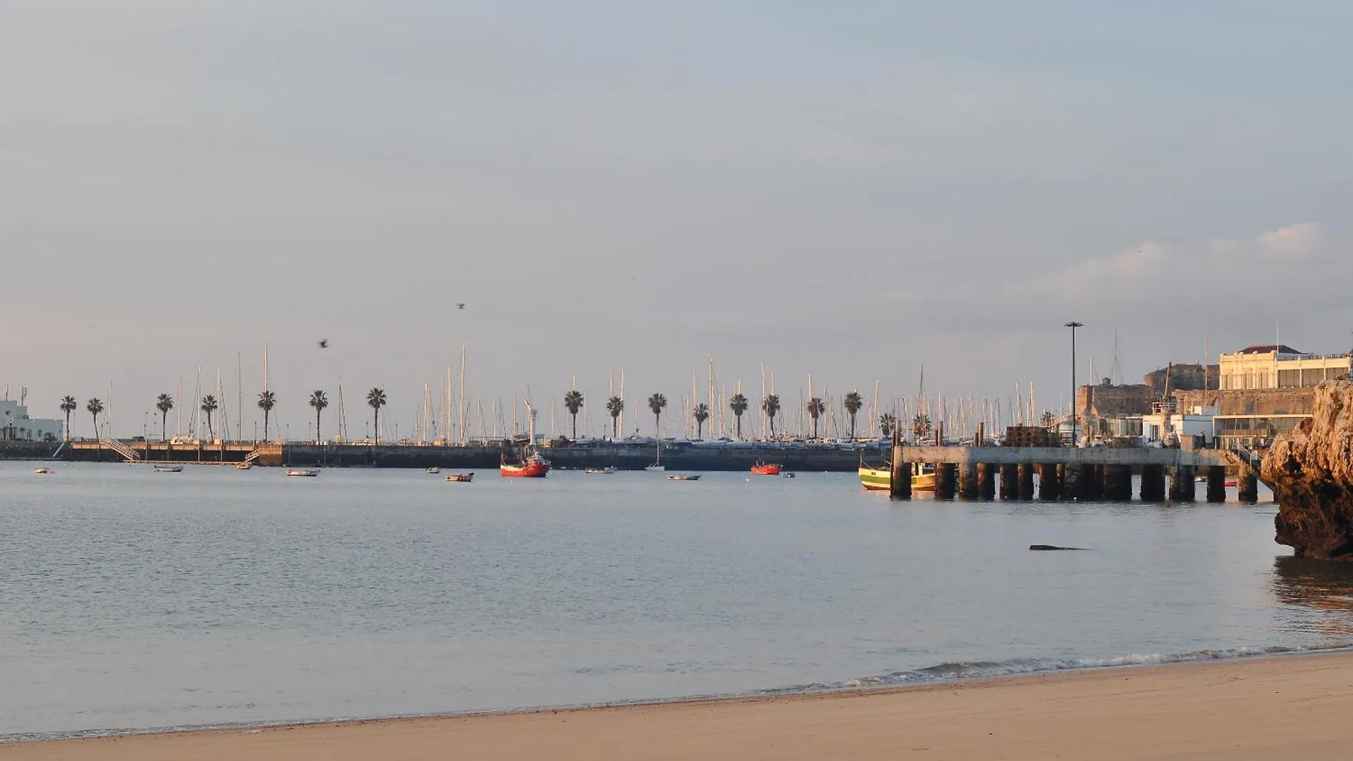 Manelisa Cascais Bed & Breakfast