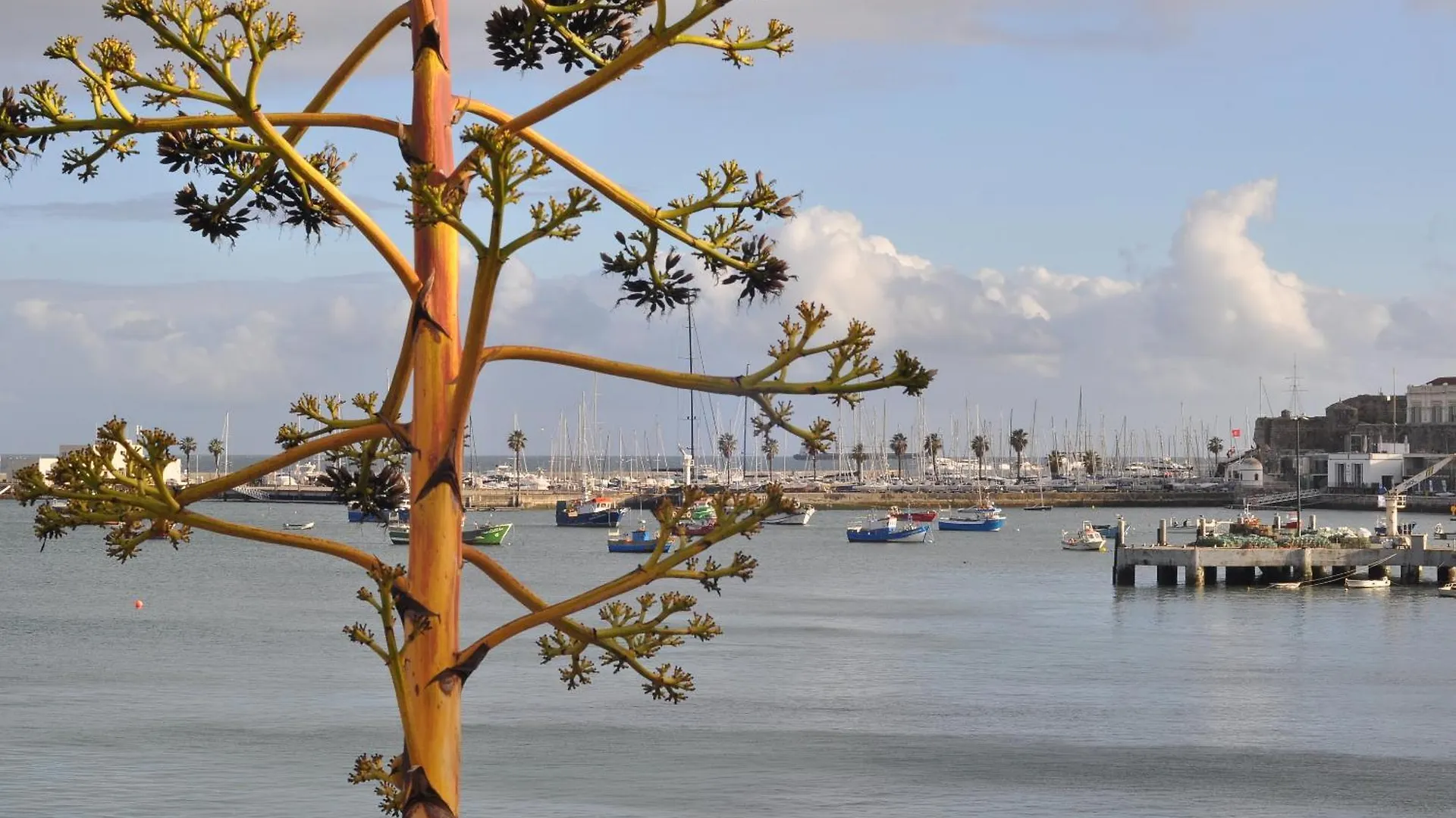 Manelisa Cascais Bed & Breakfast