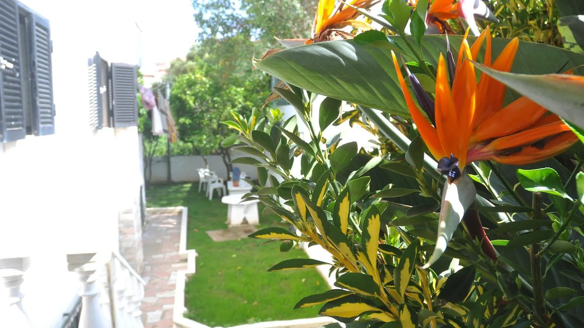 Bed and Breakfast Manelisa Cascaes