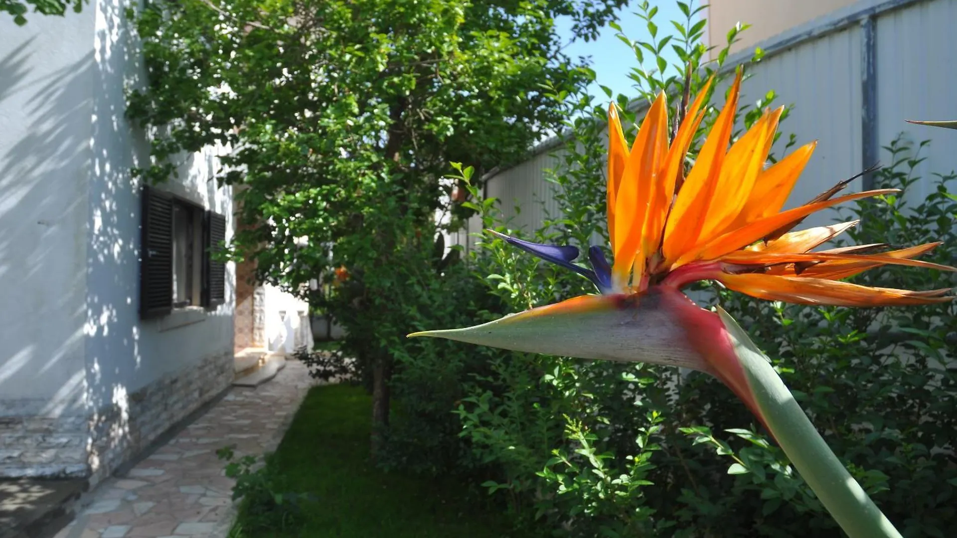 Bed and Breakfast Manelisa Cascaes
